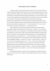 www.speros.lt